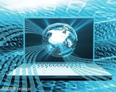 計(jì)算機(jī)信息技術(shù) 基礎(chǔ)知識(shí)與專業(yè)英語(yǔ)提升的得力助手